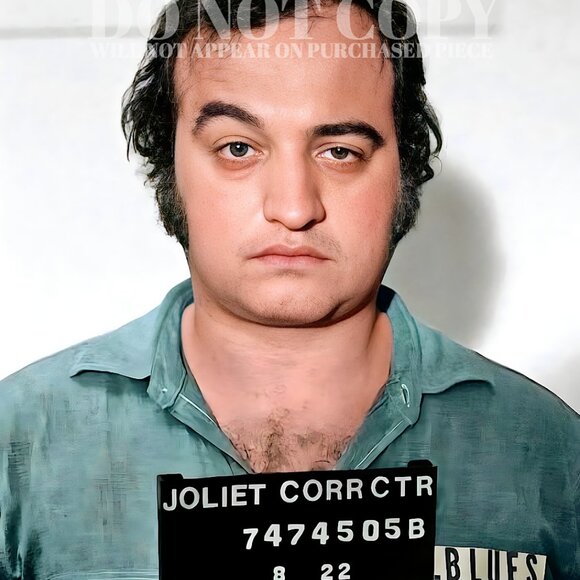 John Belushi Mugshot Photograph 8 X 10 | Blues Brothers Mug Shot | Poster Print - Picture 2 of 2